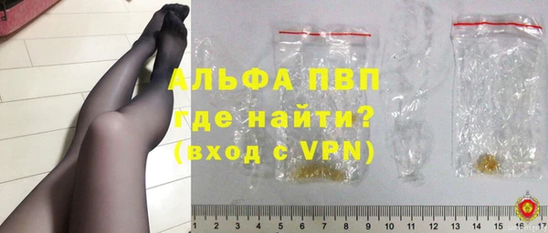 стаф Касимов