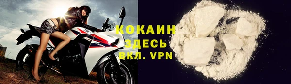 стаф Касимов
