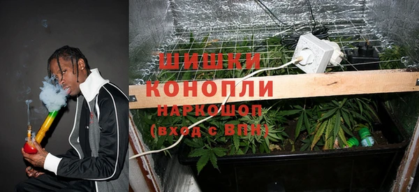 каннабис Нестеровская