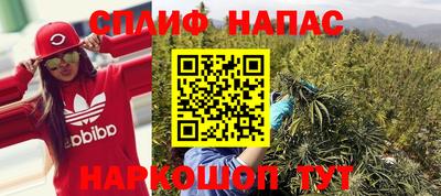 Альфа ПВП Краснознаменск