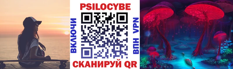 Псилоцибиновые грибы Psilocybe  как найти   Котовск 