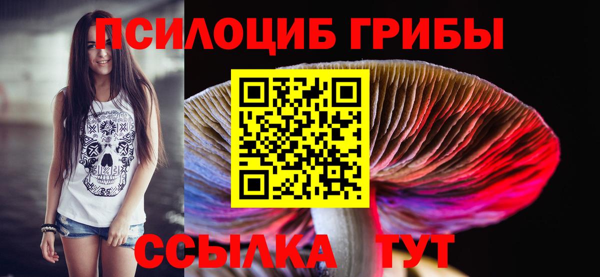 Галлюциногенные грибы GOLDEN TEACHER  Вход с VPN  цена наркотик  Котовск 